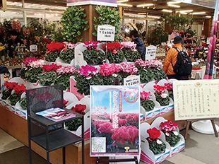 明和町花卉研究会のイベントのイメージ